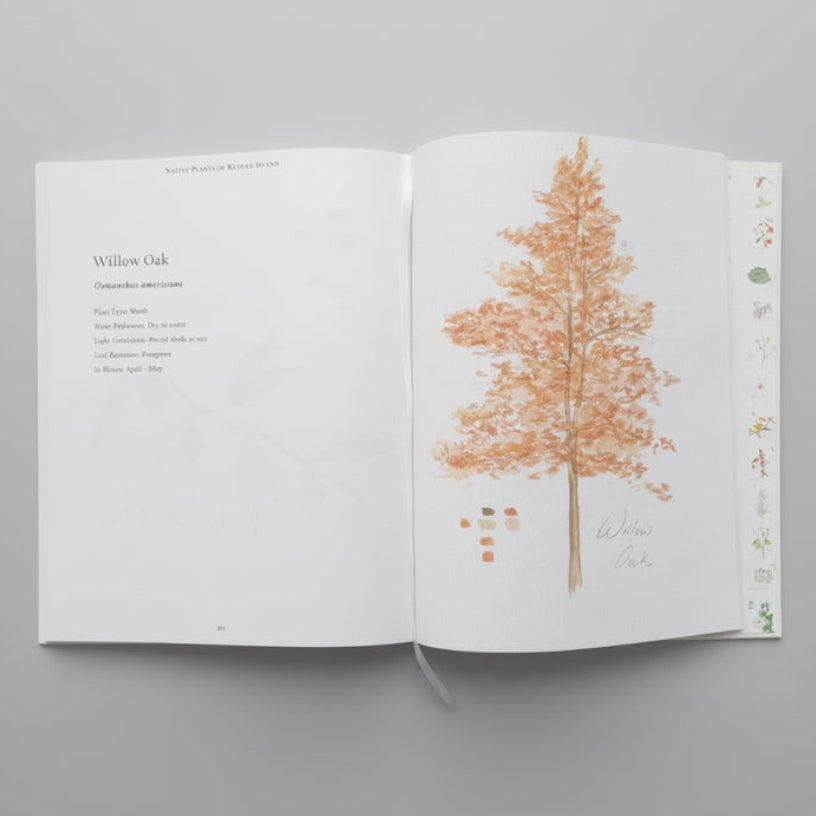 Native Plants of Kiawah Island: A Collection of Watercolors